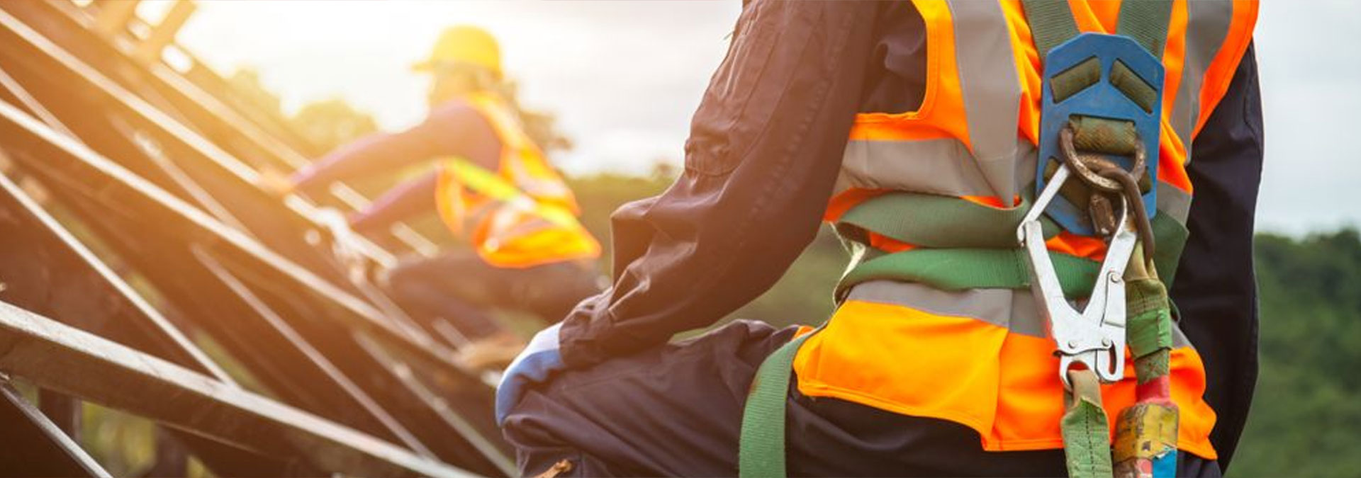 Shield Training & Consulting LLC